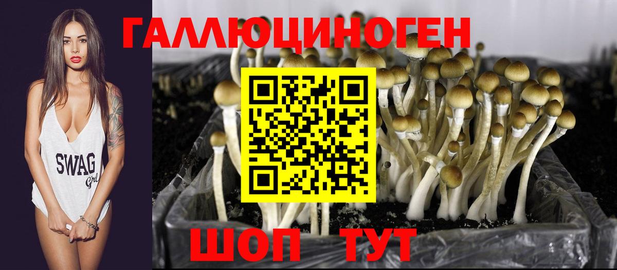Псилоцибиновые грибы мухоморы Лесозаводск